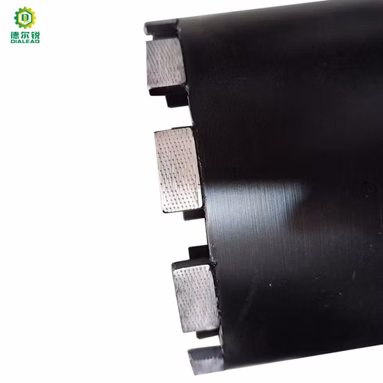 Segmento Dialead Professional Diamond Arix per Corona